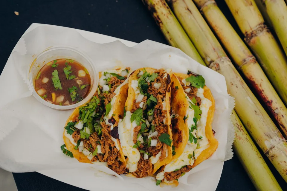 Fresh tacos with salsa beside stalks of sugarcane
